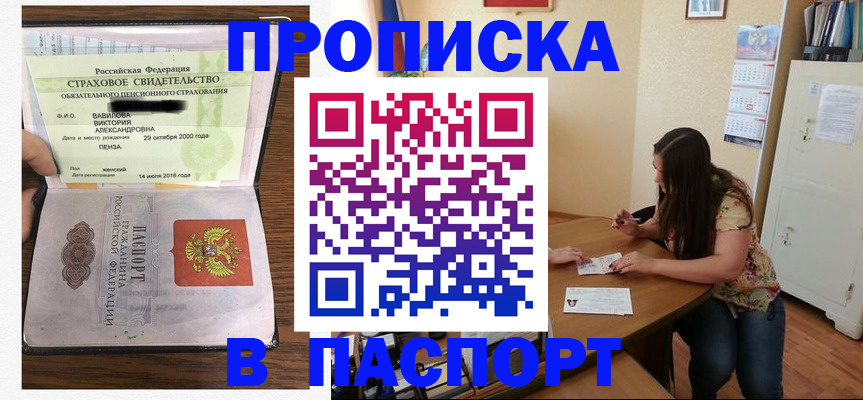 пропишу в квартире в Светлогорске